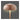Margate Bordlampe fra House Nordic i brun - billede 4