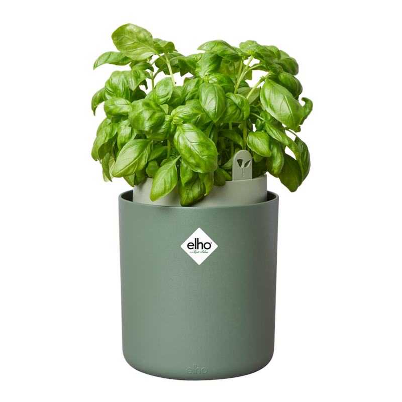 Elho - Gropotte basilikum, Leaf green, H21 cm