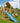 Jungle Gym - Legetårn Palace 2.1 2-Climb Blå Rutsjebane 145/180 cm Platform