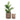 House Nordic - Burton Kurve, sæt af 2 stk. - Bolig og Haven