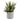 Succulent fra House Nordic i grå / Grøn