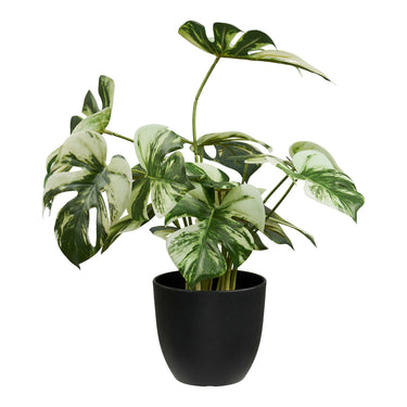 Monstera fra House Nordic i grøn