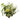 Green Spirit Buket fra House Nordic i mix – billede 2