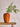 Sunny Vase fra Creative Collection
