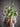Bloomingville - Rise Buket, Hvid, Kunstige Blomster - Ø40 × H109 cm