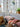 Bloomingville - Maldon Bænk, Brun, FSC® 100%, eg - L190 × H47 × B37 cm