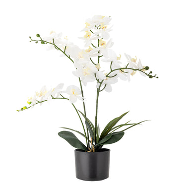 Bloomingville - Orchid Plante, Hvid, Kunstige Blomster - H84 cm, pot Ø16 × H13 cm