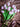 Bloomingville - Tulip Buket, Rosa, Kunstige Blomster - Ø17 × H32 cm
