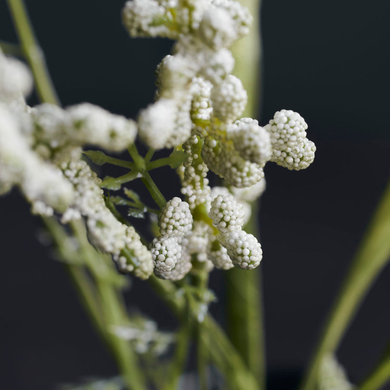 House Doctor - Blomst, Gypsophila, Hvid L75 cm