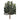 Oliventræ - Kunstigt plante 120 cm - Bolig og Haven