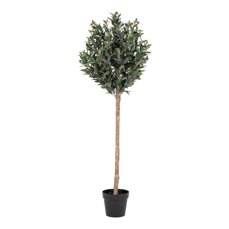 Oliventræ Kunstigt plante 150 cm