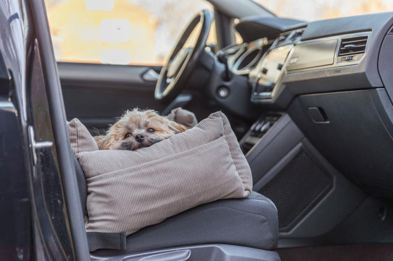 Trixie - Bilsæde/transportseng 55x50 cm