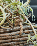 House Doctor - Urtepotte, Hover, Natural, sæt af 2 stk.