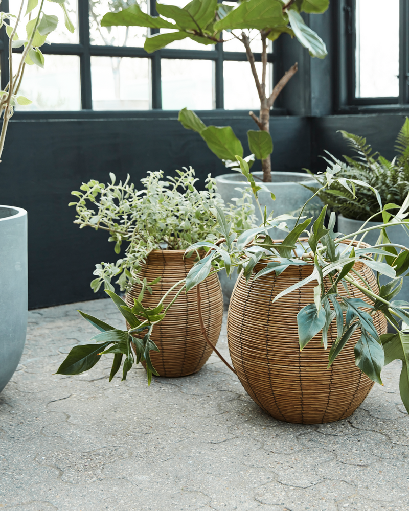 House Doctor - Urtepotte, Boum, Natur, 2 stk.