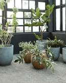 House Doctor - Urtepotte, Boum, Natur, 2 stk.