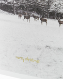 House Doctor - Lykønskningskort, Winter w. envelope, Hvid