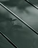 House Doctor - Bord, Helo, Grøn, L200 cm