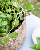 House Doctor - Kurv, Hang, Natur Ø18 cm