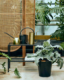 Nordal - ELM vandkande, h25 cm, messing