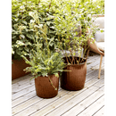 House Doctor Urtepotte, HDGroove, Brun, sæt af 2 stk.,Ø30-Ø37cm