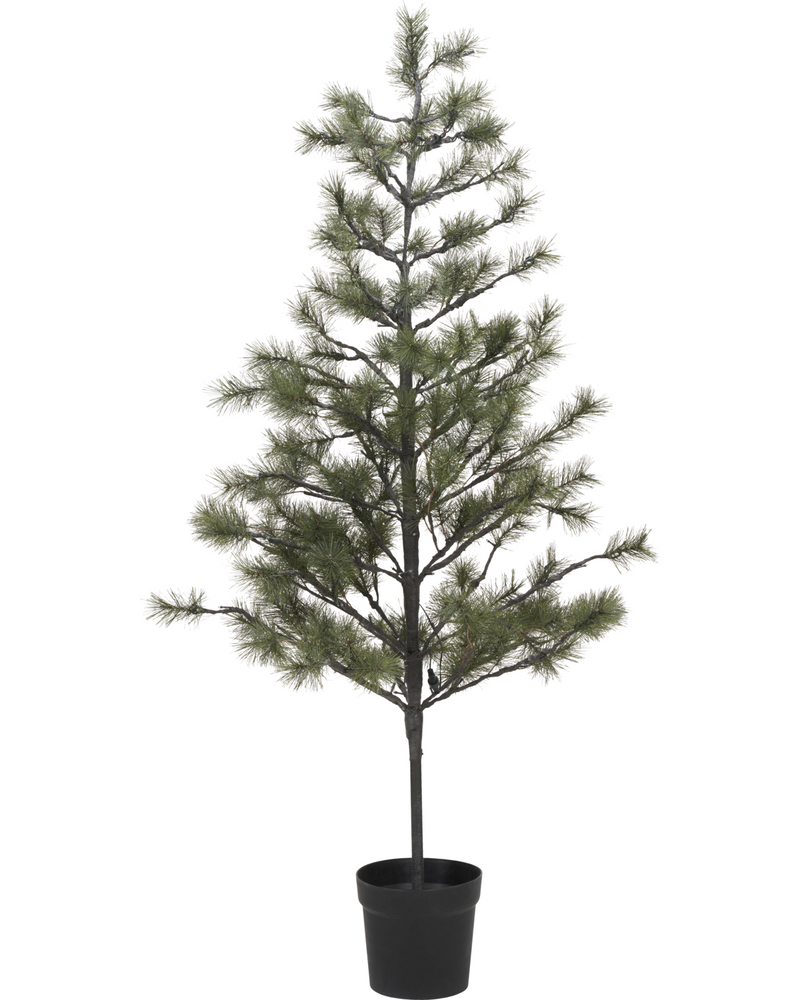 House Doctor Juletræ med LED Peuce Natur