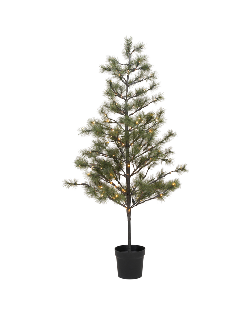House Doctor - Juletræ med LED, Peuce, Natur, H180 cm