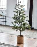 House Doctor - Juletræ med LED, Peuce, Natur, H180 cm