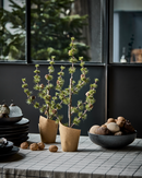 House Doctor - Juletræ, Stay, Grøn H50 cm