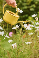 Ib Laursen - Vandkande gul 0,95 ltr