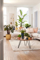 Elho - Vibes Coupe Urtepotte, Deep blue, flere str.