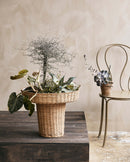 Nordal - LAURIE høj plantekrukke – natur – Ø49 × H40 cm