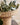 Nordal - LAURIE høj plantekrukke – natur – Ø49 × H40 cm