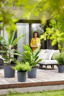 Elho - Krukke Greensense Aqua Care mørkegrå, 3 størrelser m. hjul