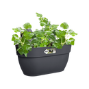 Elho - Vibia campana Altanpotte, anthracite, 3 størrelser