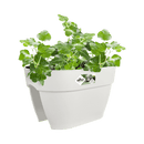 Elho - Altanpotte Vibia Flower Bridge L40 cm, Hvid