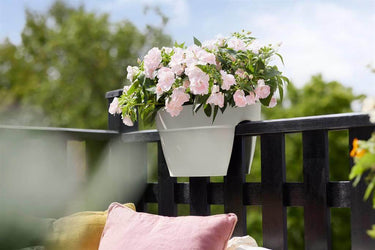 Elho - Altanpotte Vibia Flower Bridge L40 cm, Hvid