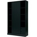 MOVE SLIDING DOOR CABINET PINE MATT BLACK [fsc]