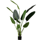 STRELITZIA ARTIFICIAL PLANT GREEN 164CM