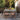 OVARA EXTENDABLE GARDEN TABLE ALUMINIUM SAND