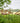 Bloomingville - Dudine Lounge Sæt, Polyrattan, Natur, 3 dele
