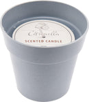 Citronellalys 1 stk. ass. farver, 2 størrelser