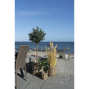 Sema Kurve - 3 runde kurve i kubu m. plastik indvendig