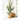 Eden Kurve fra House Nordic i natur – billede 4