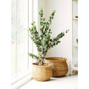 Eden Kurve fra House Nordic i natur – billede 4