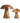 House Nordic - Kodi Dekorations Svampe Teak Natur - Sæt af 2 stk. H25 og H35 cm