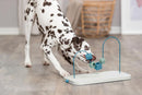 Trixie - Dog Activity Skills Loop, plast/metal