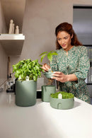 Elho - Avocado gropotte, leaf green H12 cm