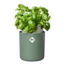 Elho - Gropotte basilikum, Leaf green, H21 cm
