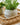 Nordal - AOBA krukke, M, cement – hvid – Ø19 × H13 cm