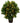 Kunstigt Juletræ kugleformet i potte, H70 cm, 120 LED lys. 230 volt